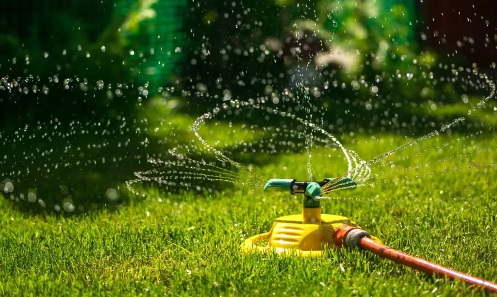 Garden watering of a spring green lawn