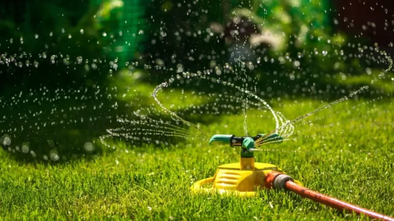 Garden watering of a spring green lawn