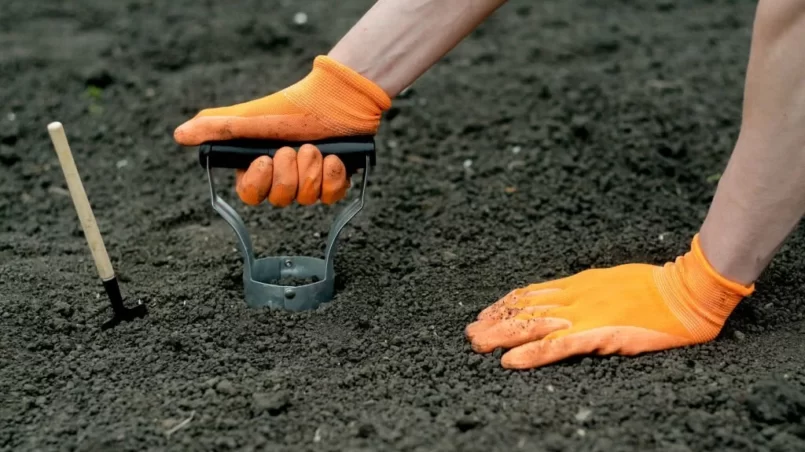 Gardener makes a hole in a ground by a planter tool for a flower in the garden