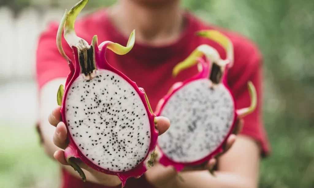 Half dragon fruit holding by woman hand
