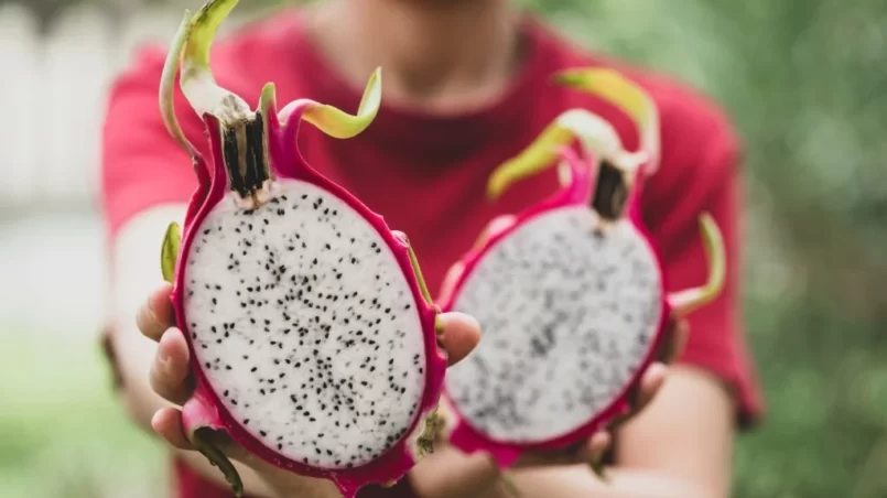 Half dragon fruit holding by woman hand