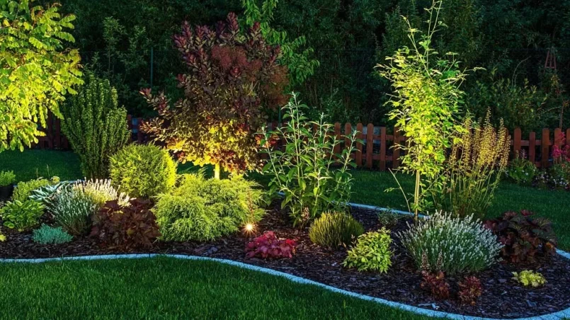 Illuminated garden at night