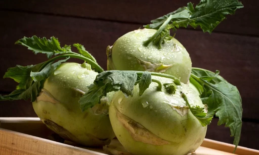 Kohlrabi cabbage on a wooden box