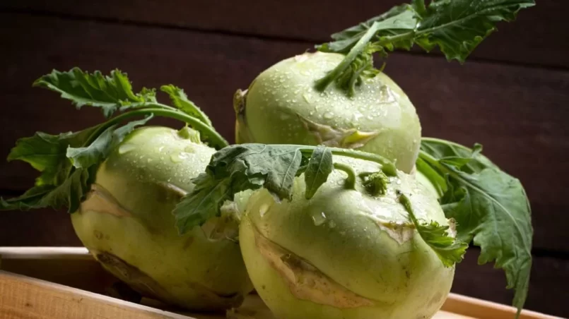 Kohlrabi cabbage on a wooden box