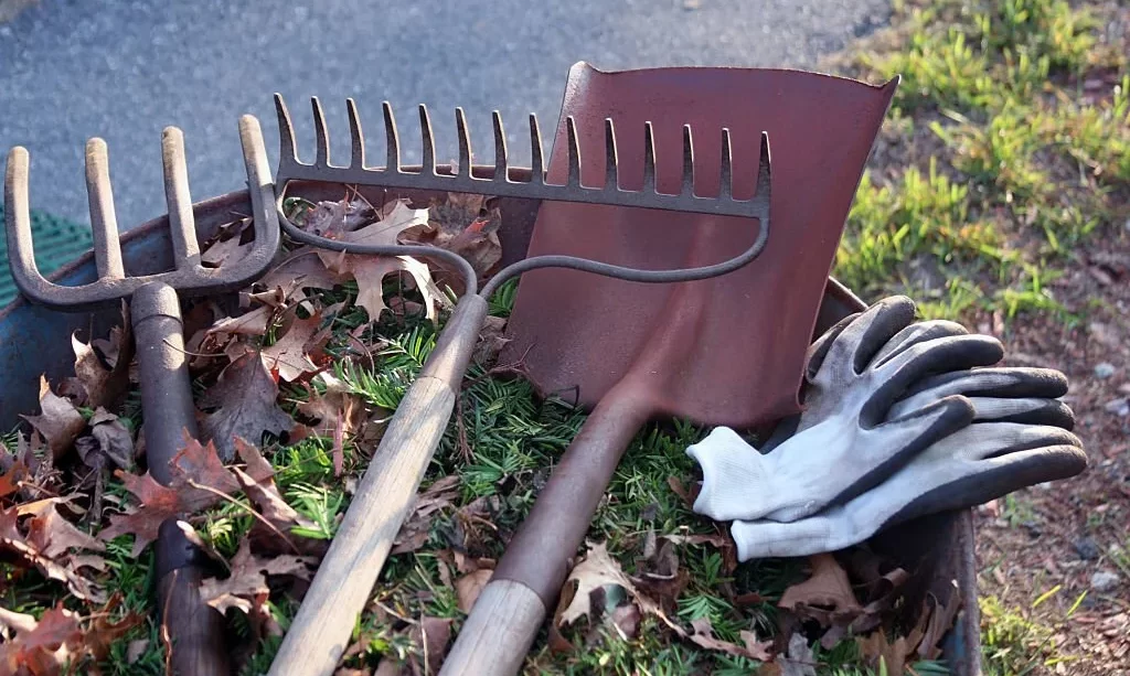 Landscaping tools