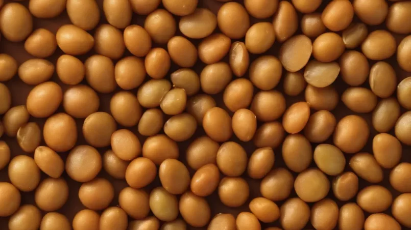 Lentils