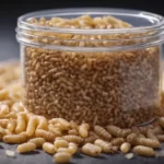 Maggots in sealed container