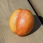 Nectarine on a deck