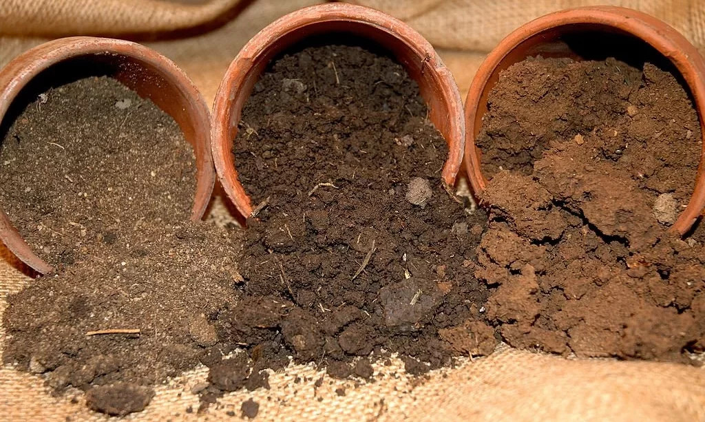 Three types of soil