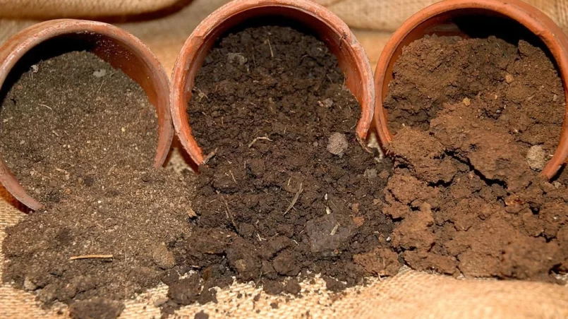 Three types of soil