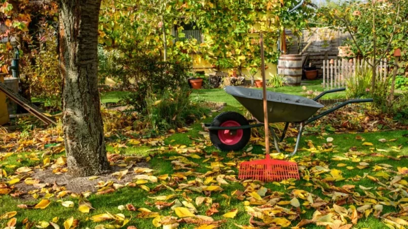 Wheelbarrow in garden