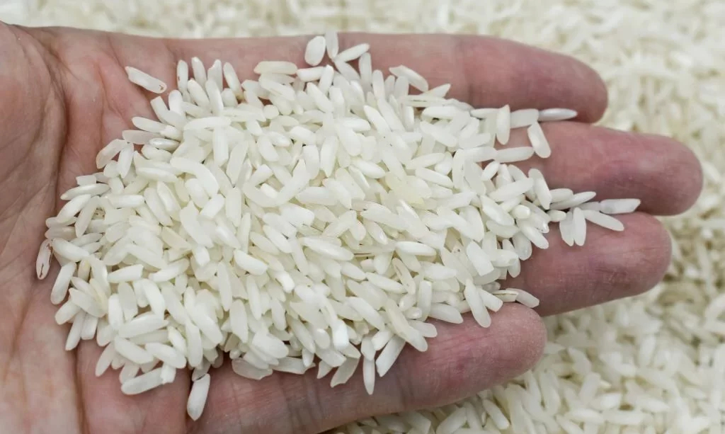 White basmati rice grain