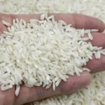 White basmati rice grain