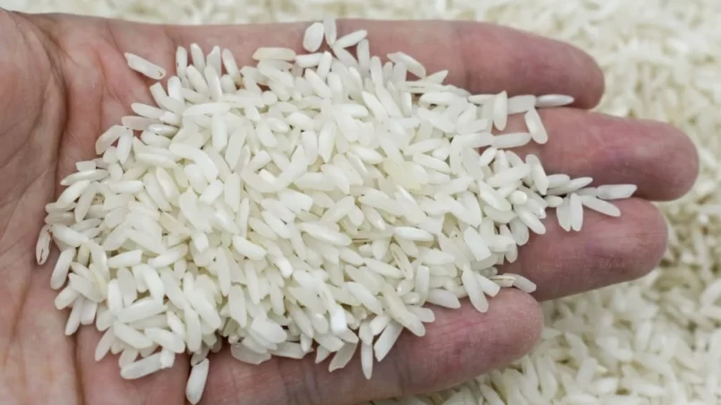 White basmati rice grain