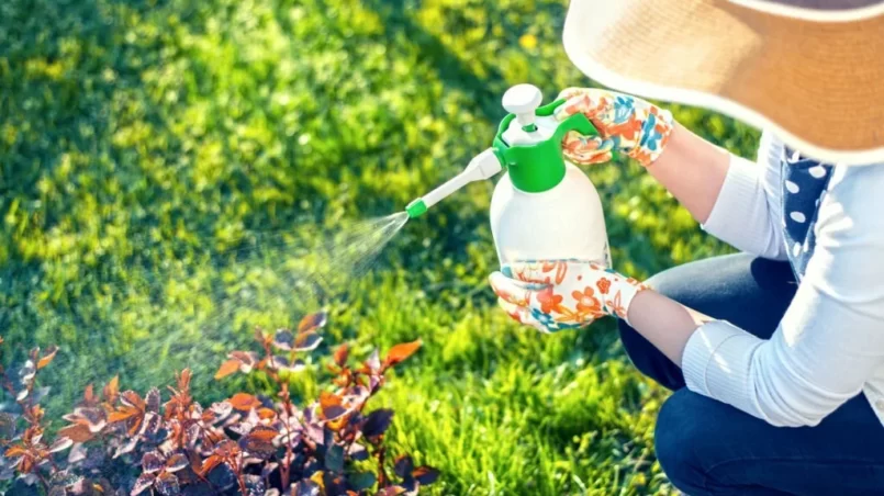 Woman spraying flowers in the garden