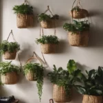 Baskets on wall with plants