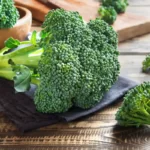 Healthy green organic raw broccoli
