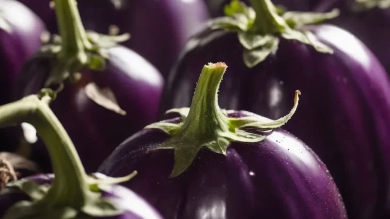 eggplants