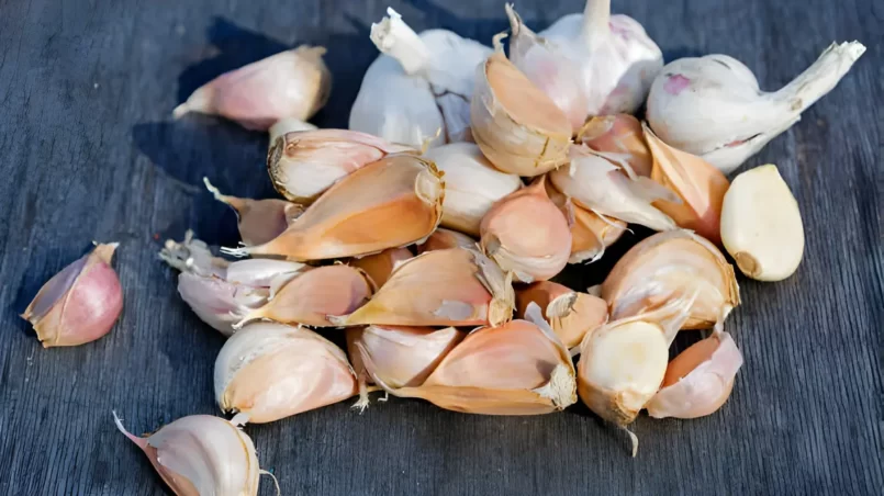 Disassembled garlic cloves ready for planting in the ground