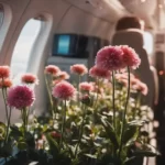 Flowers on a Plane