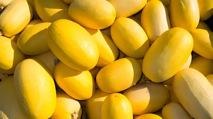 Fresh Spaghetti squash