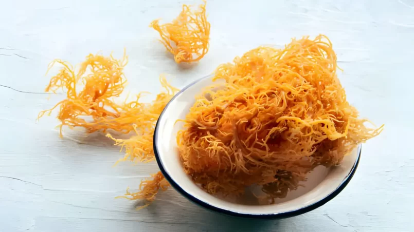 Irish sea moss (Chondrus Crispus)