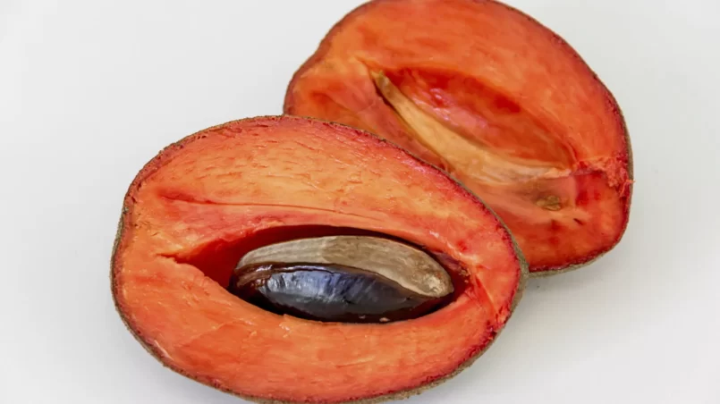 Mamey Colorado tropical fruit