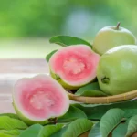 Red guava fruit