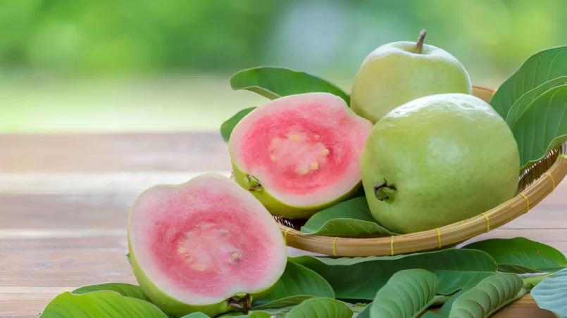 Red guava fruit