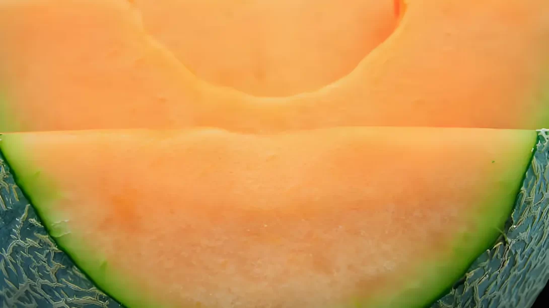 Sugar Kiss Melon