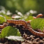 Worms eating leaves