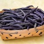 basket of purple hull peas