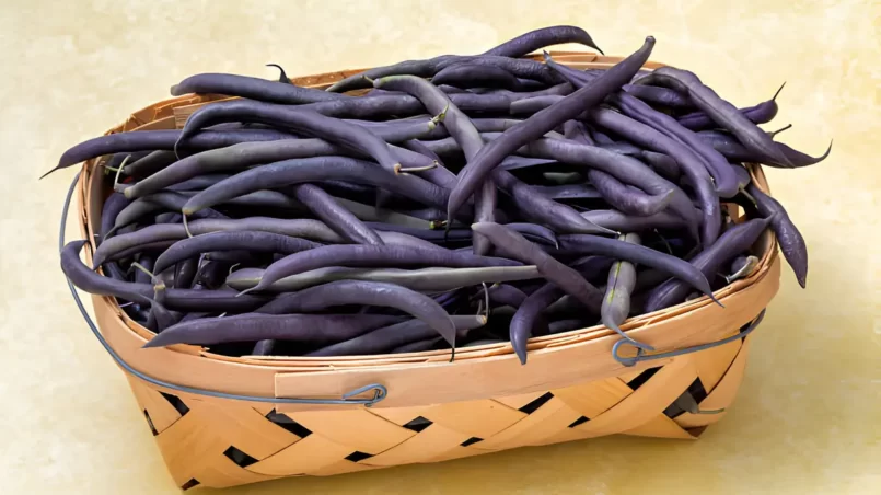 basket of purple hull peas