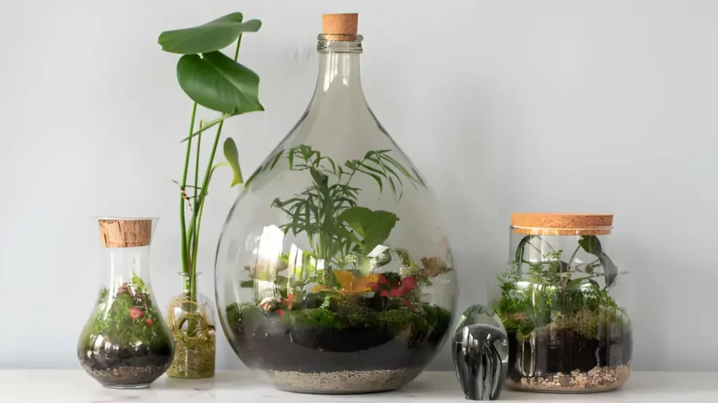 Ecosystem terrarium