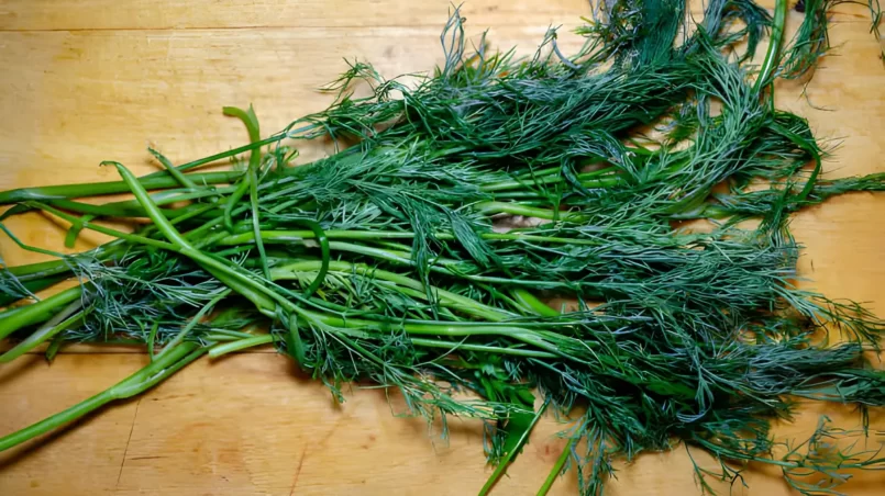 green dill