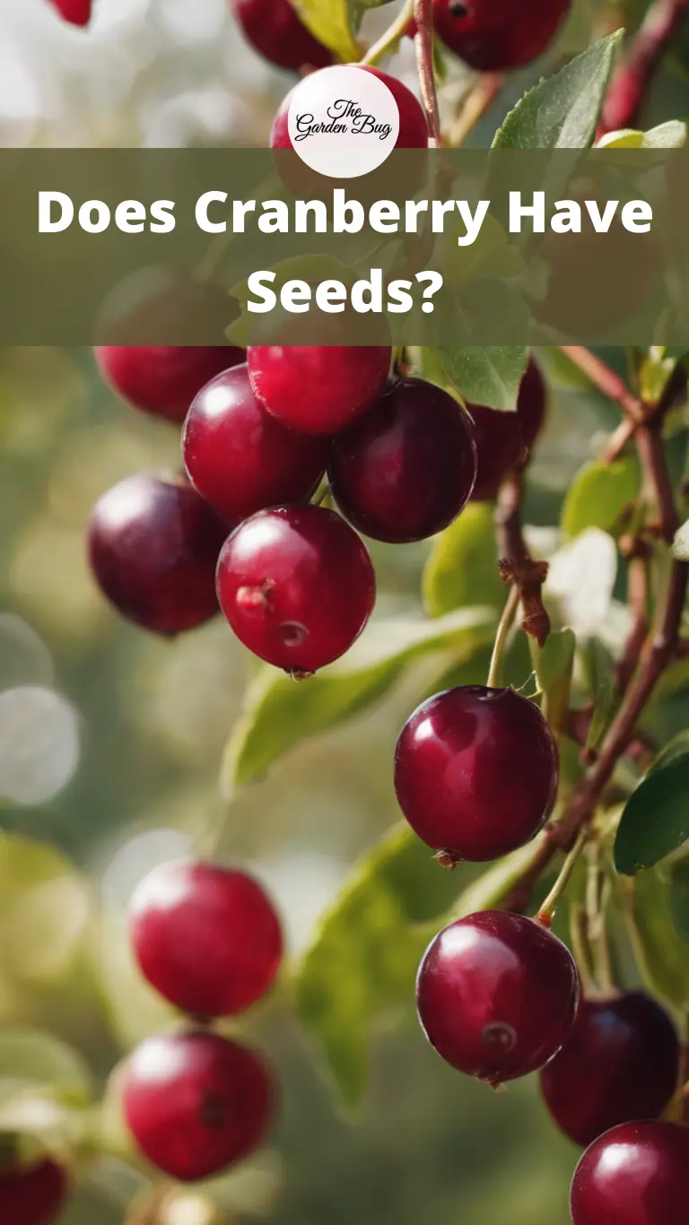 Does Cranberry Have Seeds?