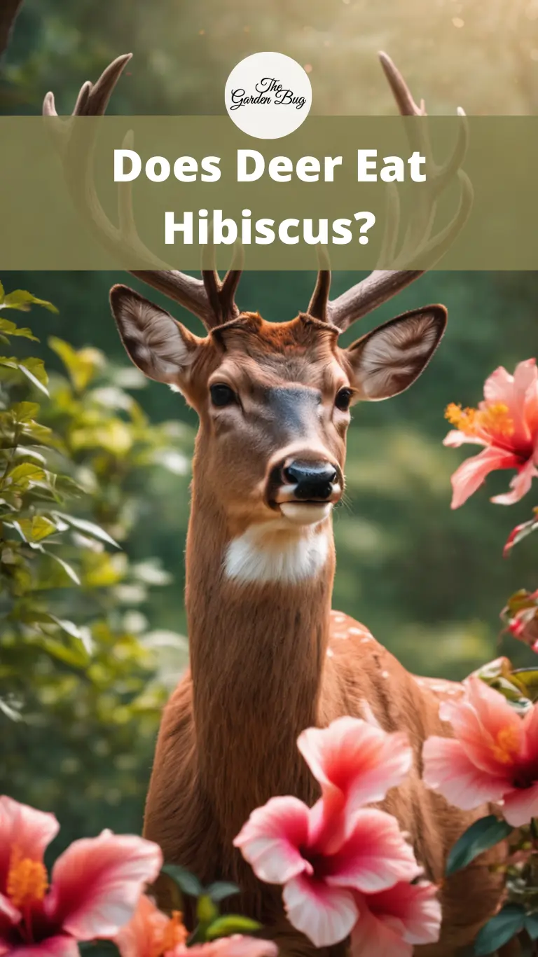 Does Deer Eat Hibiscus?