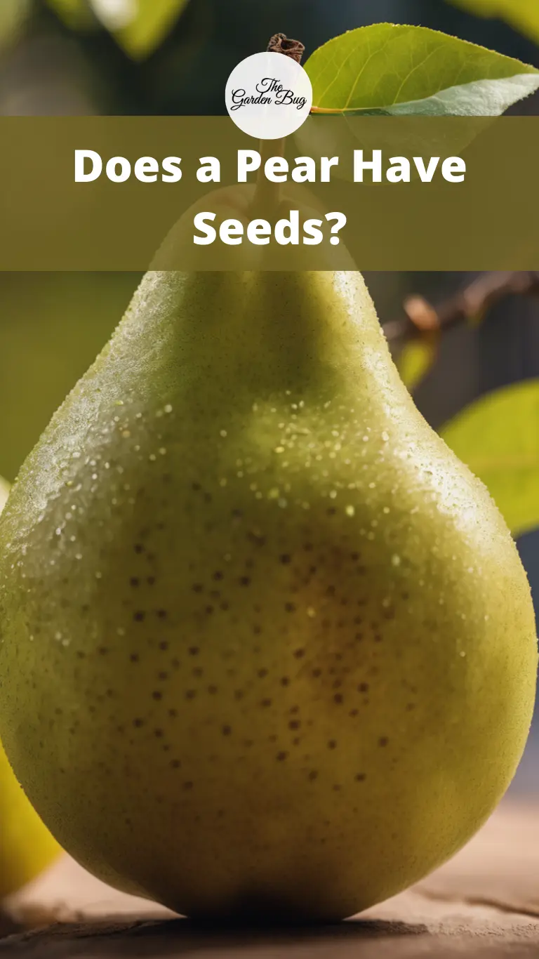 Does a Pear Have Seeds?