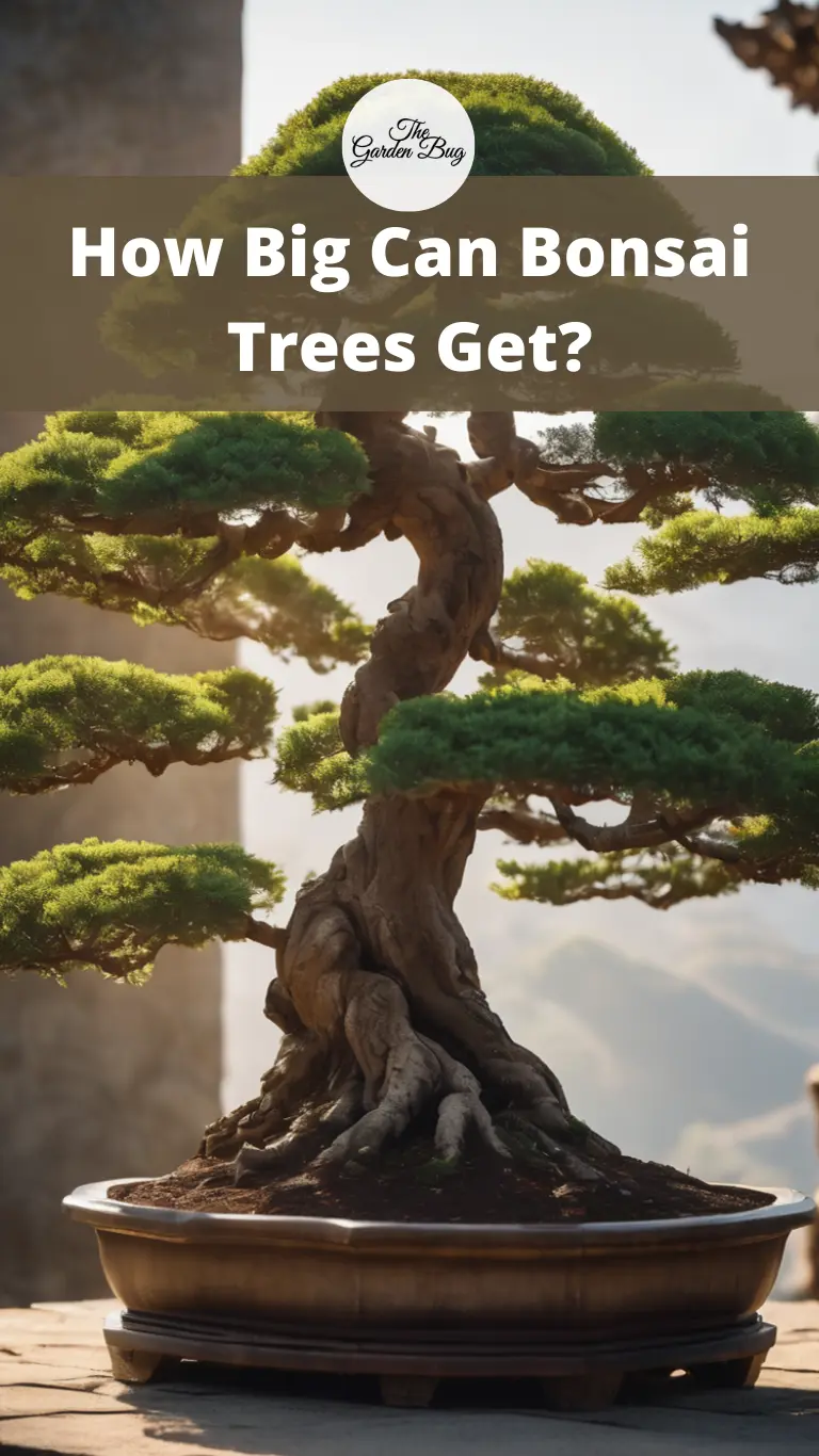 How Big Can Bonsai Trees Get?
