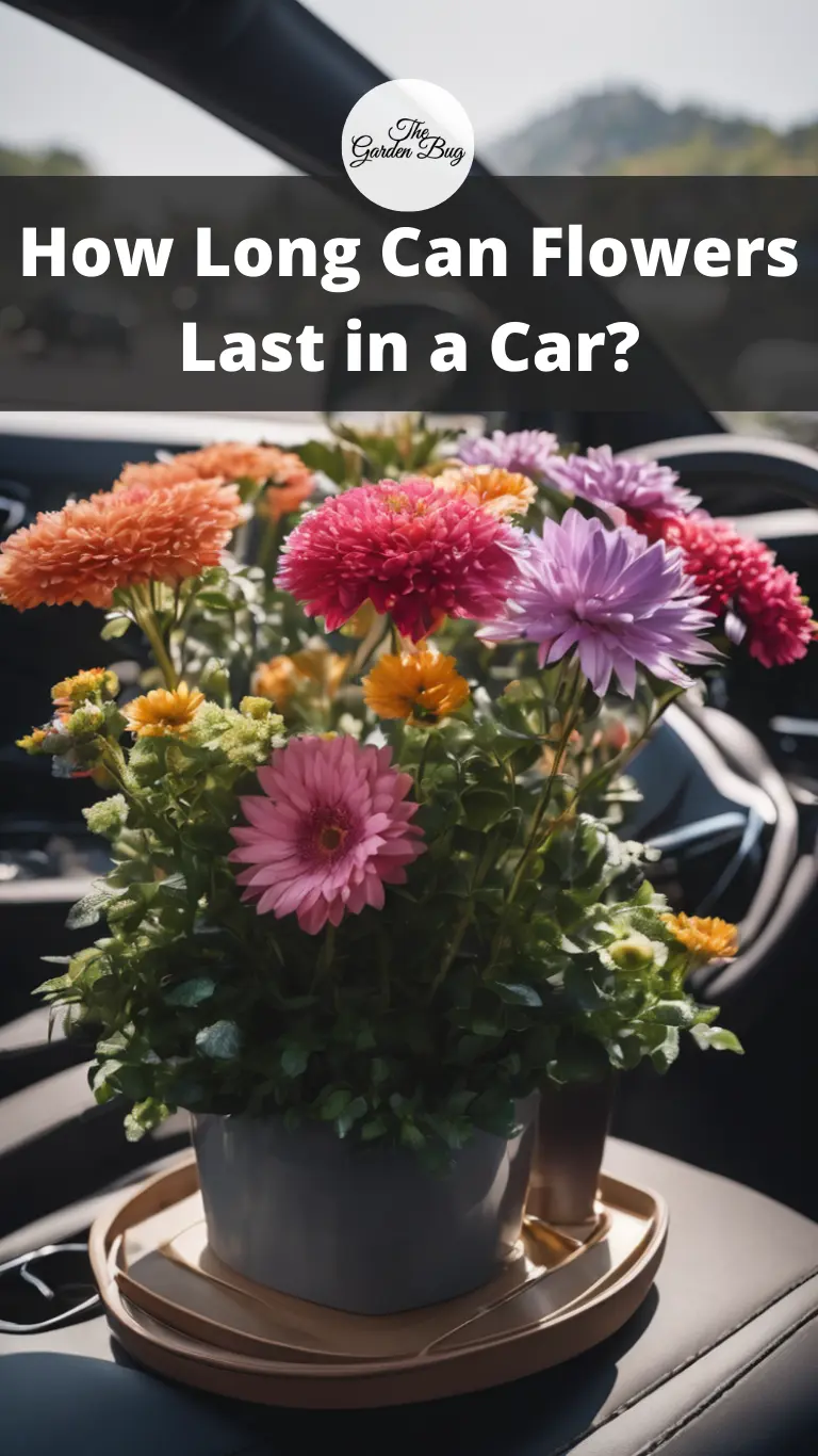 How Long Can Flowers Last in a Car?