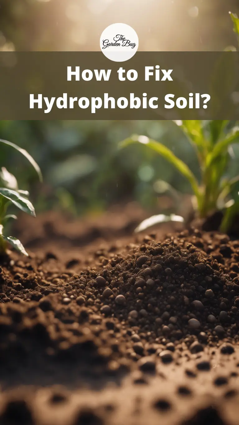 How to Fix Hydrophobic Soil?