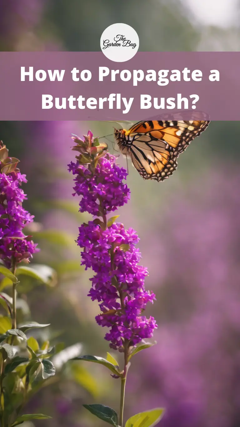 How to Propagate a Butterfly Bush?