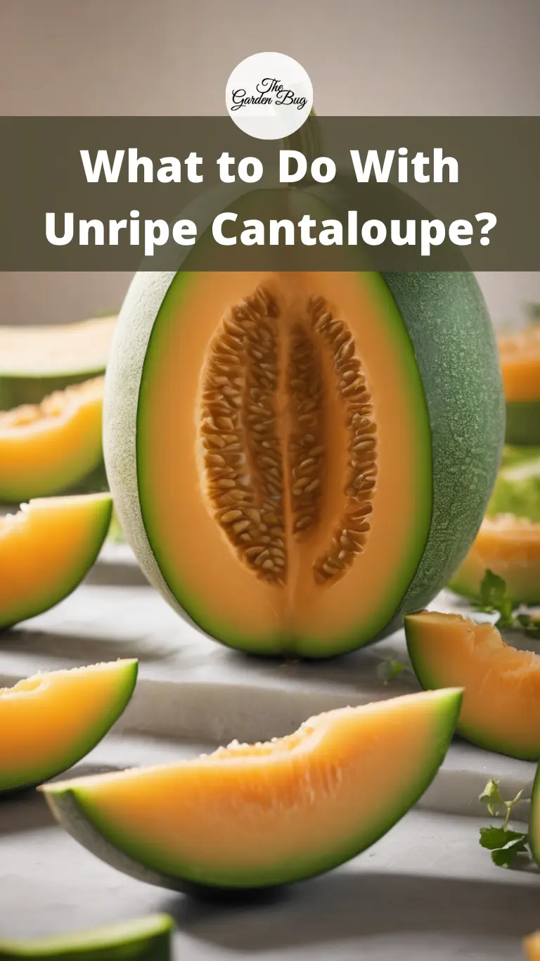 What to Do With Unripe Cantaloupe?