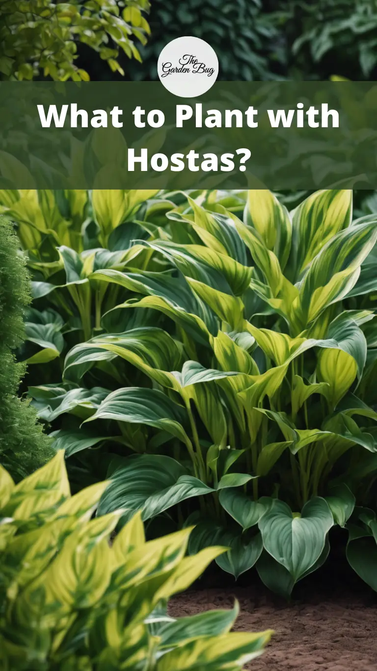 What to Plant with Hostas?