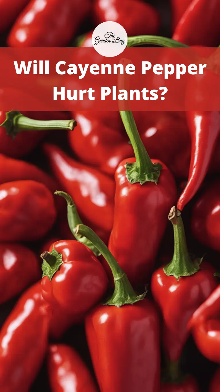 Will Cayenne Pepper Hurt Plants?
