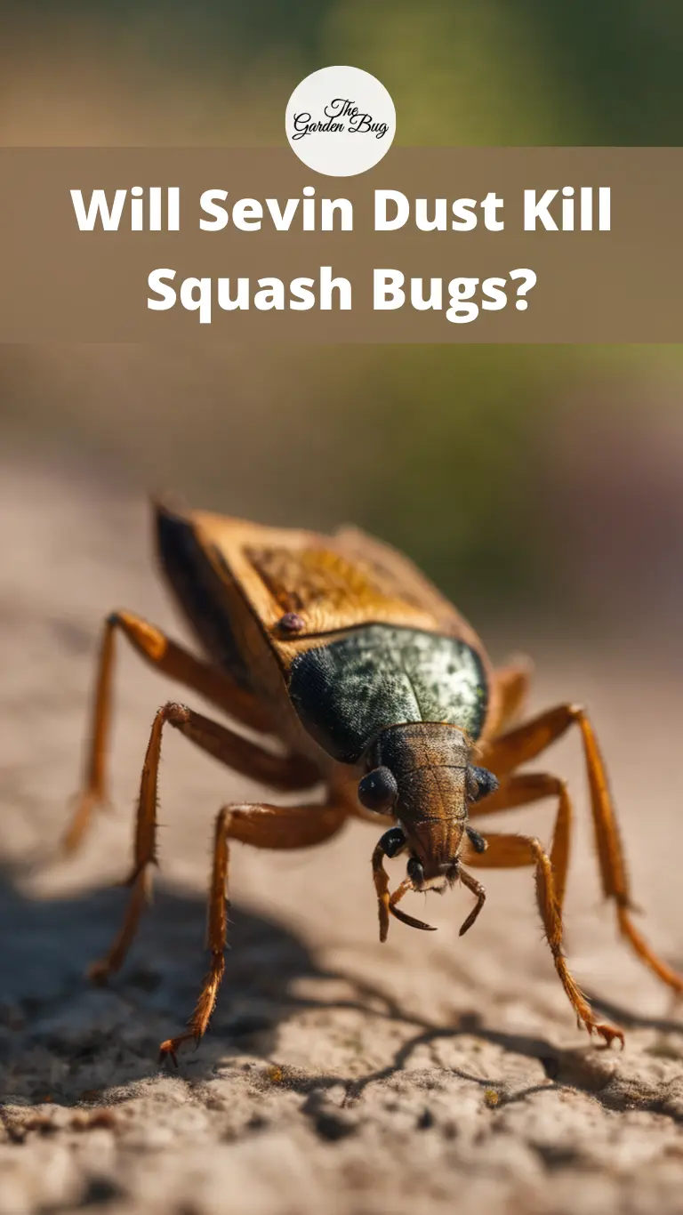 Will Sevin Dust Kill Squash Bugs?